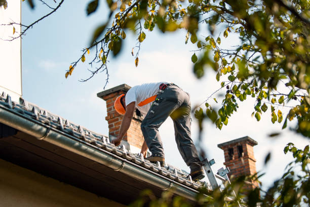 Best Roof Leak Repair  in Redby, MN