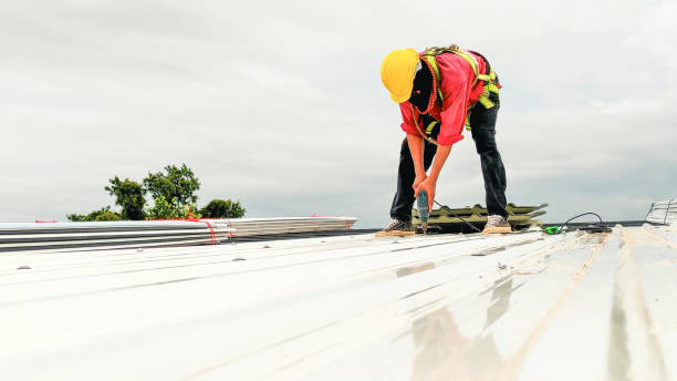 Best Sheet Metal Roofing  in Redby, MN
